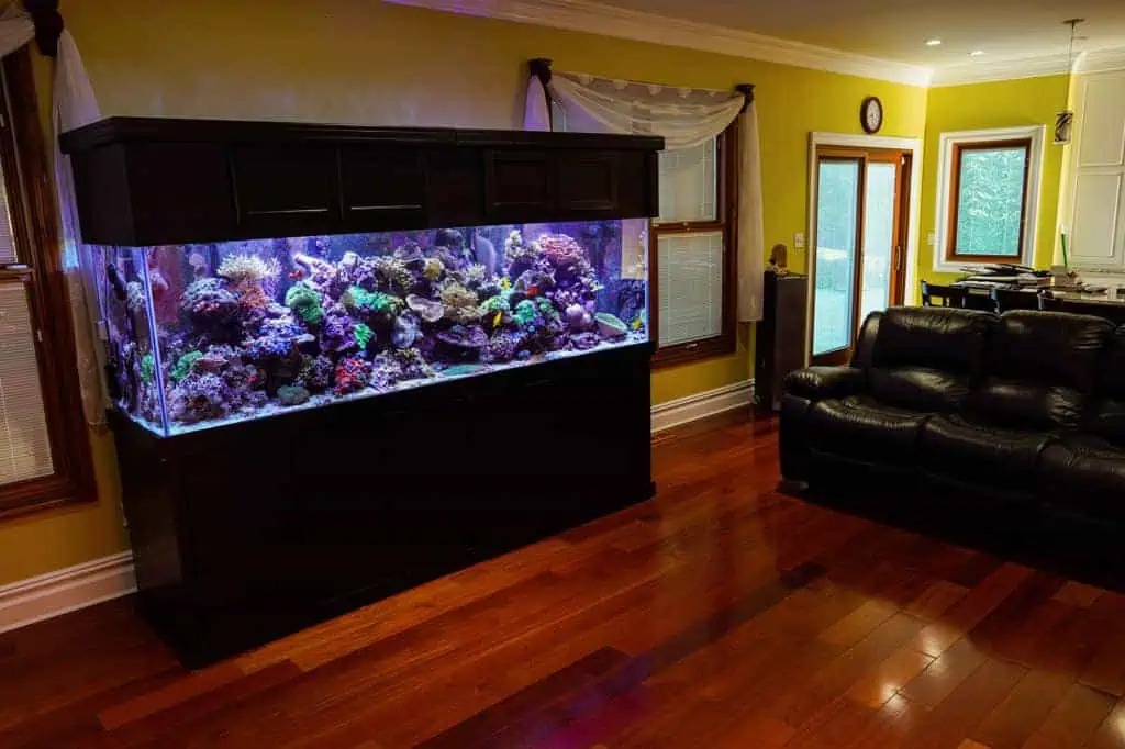 Wide View of Room With Aquarium
