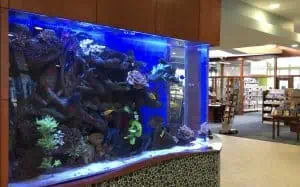 aquarium Installation Suffolk County