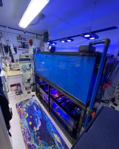A room with a large, blue fish tank illuminated by blue lights is shown. Surrounding the tank are various pipes and equipment. A colorful, ocean-themed mat is on the floor, reflecting excellent Aquarium Design Nassau County. Shelves and a sink with additional equipment are visible in the background.
