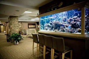 A cozy indoor space with beige carpet and stone columns features a large wall-mounted aquarium filled with colorful fish and coral, showcasing the best in aquarium design Nassau County offers. There are four bar stools in front of the aquarium and some seating areas with couches and plants in the background.