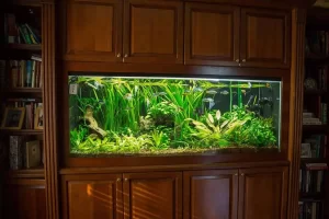 Long Island Fish And Reef Bookcase Fish Tank