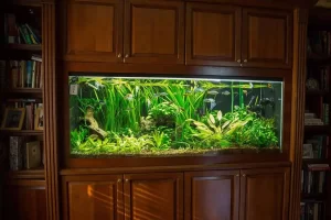 An ornate, built-in wooden cabinet houses a large, well-maintained aquarium. The tank, maintained by Aquarium Services Nassau County, is filled with various aquatic plants and a few fish. Surrounded by shelves of books and decorative items, it creates a cozy and vibrant ambiance.