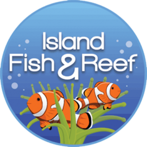 cropped-Island_Fish_And_Reef_Favicon