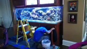 A person is crouched down working under a large aquarium filled with colorful corals and fish in a living room, possibly benefiting from Aquarium Installation Suffolk County. A yellow step ladder is set up next to the aquarium, and a white bucket and tools are on the floor. Family photos hang on the wall nearby.