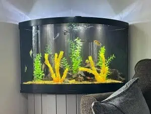 A curved glass aquarium, designed by Aquarium Services Nassau County, is filled with various fish and decorated with green plants and orange coral-like structures. Mounted in the corner of a room above a cushioned grey chair with two grey pillows, it adds a touch of underwater serenity to the space.