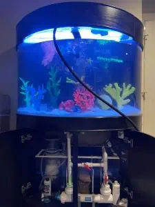 Fish Tank