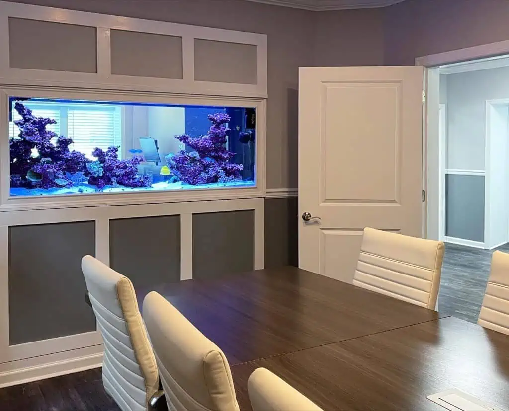 A modern conference room with a wooden table and four white leather chairs. The room features a built-in wall aquarium filled with colorful coral and marine life, an example of exquisite aquarium installation in Suffolk County, adding vibrant touches to the neutral-toned walls and paneled decor. An open door leads to a hallway.