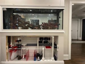A large aquarium built into a white wall with a transparent tank at the top housing coral structures. Below, visible plumbing and filtration systems are organized within a cabinet. The room has hardwood floors and beige walls, with doorways in the background. Consider Aquarium Services Nassau County for regular maintenance to keep it pristine.