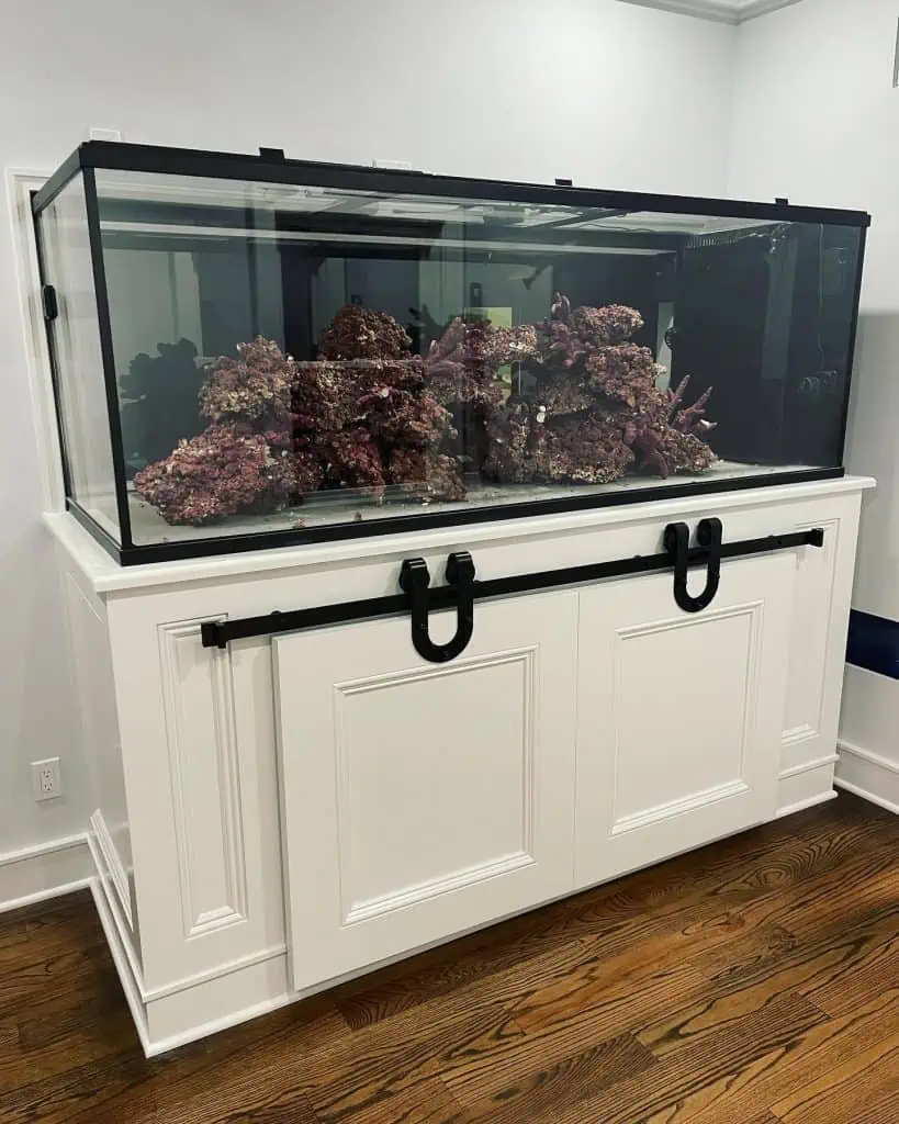 A large rectangular aquarium filled with purple coral, a prime example of expert Aquarium Design Nassau County, sits atop a white, paneled cabinet with sliding barn doors. Positioned against a white wall, its vibrant display is complemented by the dark brown hardwood floor.