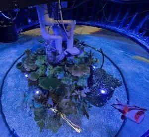 A top view of a circular aquarium featuring a vibrant coral reef and various marine life. The setup, reflecting expert Aquarium Design Nassau County craftsmanship, includes white piping in the center, with colorful fish swimming around the corals. The scene is bathed in blue light, giving it an underwater ambiance.