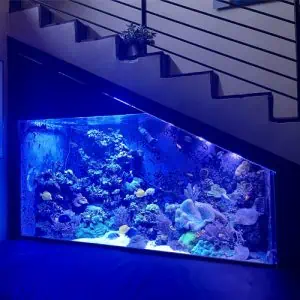 A large, illuminated aquarium built under a staircase showcases a vibrant underwater scene with various corals and tropical fish. The blue lighting enhances the colors of the marine life, creating a striking visual effect. With Aquarium Maintenance Suffolk County services, the modern staircase features metal railings.