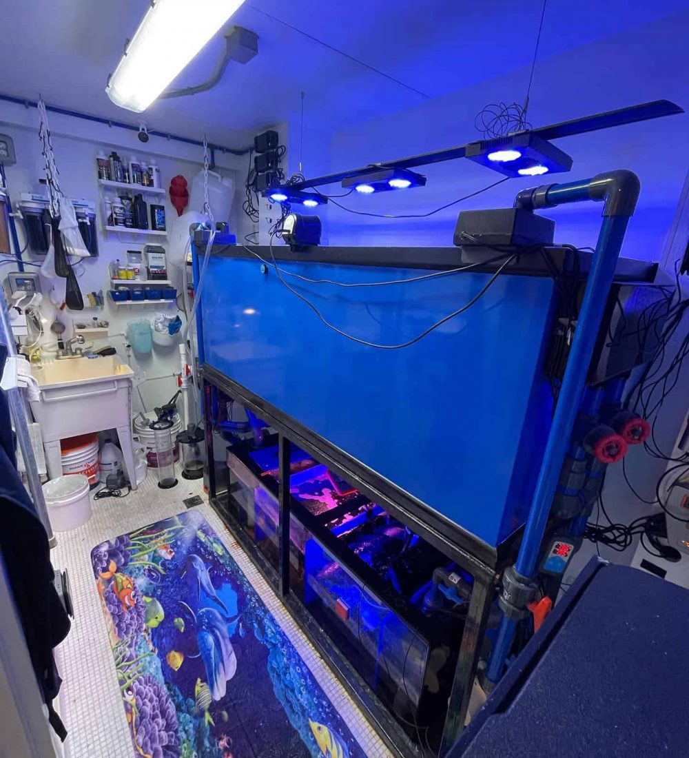 A room with a large, blue fish tank illuminated by blue lights is shown. Surrounding the tank are various pipes and equipment. A colorful, ocean-themed mat is on the floor, reflecting excellent Aquarium Design Nassau County. Shelves and a sink with additional equipment are visible in the background.